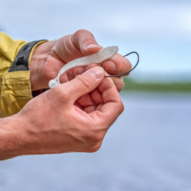 SC Free Fishing Days
